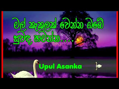Mal kakulak wenna obe suwada hamanna ( මල් කැකුළක් වෙන්න ඔබේ සුවඳ හමන්න )Upul asanka song