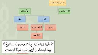 صورة شرح عمدة الفقه كتاب الزكاة 02   السائمة  عامر بهجت
