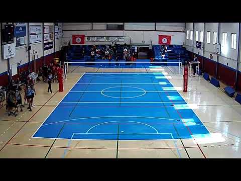 CARNIQUES SUNYER CV MANACOR 1NM - CV SANT MARTI