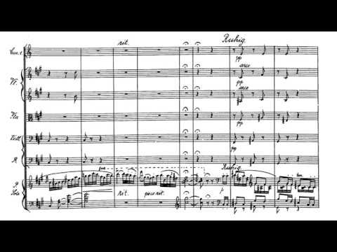 F. HILLER: Piano Concerto no. 2 in F# minor, Op. 69 (Michael Ponti/Radio Luxembourg Orchestra)