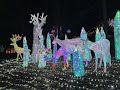 NC Chinese Lantern Festival 2023
