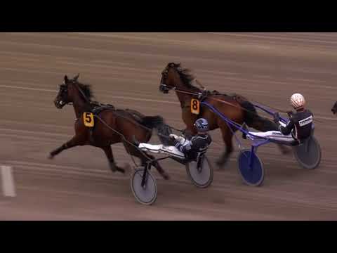 Elitlopp Meeting 2023 Friday Race 11 - Grumbazz Kini