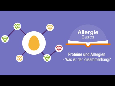 Proteine und Allergien – was ist der Zusammenhang? | Allergy Insider