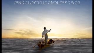 Pink Floyd - Skins (The Endless River)