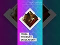 Aval Varum Song Kakshi Amminippilla Malayalam Movie Status Video