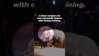 There’s NOTHING Fun About This Circus Act #shortsvideo