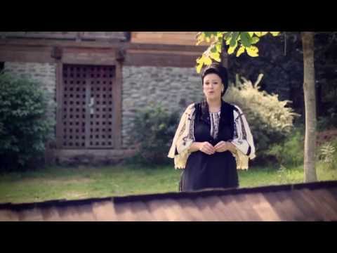 Luminita Dejan  - Treci dorule Muresul