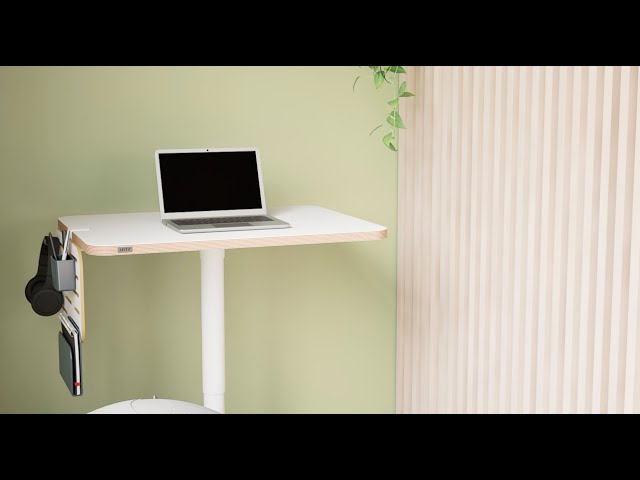 YouTube Video -