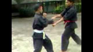 Download lagu jurus jurus lengan seribu pencak silat mp3