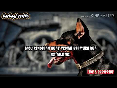 Lagu buat (SI ANJING) bermuka dua