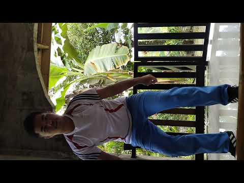 tabatha exercise for beginners