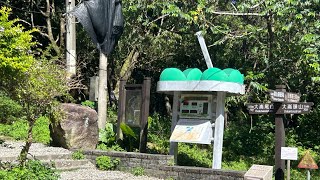 大崙尾山原始樹林秘徑