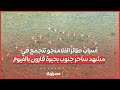 أسراب طائر الفلامنجو تتجمع في مشهد ساحر جنوب بحيرة قارون بالفيوم