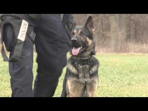 London Police Canine Unit - 3 Part Series