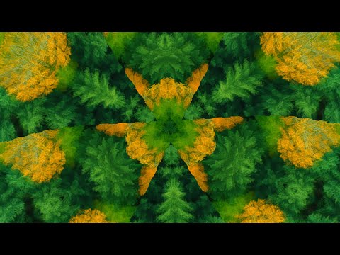 Thomas Adam Billings - Vivaria (2025) - Visualizer