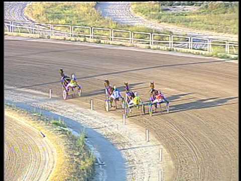 Trotto 24/06/2017 - 2ª prova di qualifica