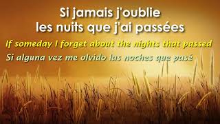 Si jamais j&#39;oublie   ZAZ Subtitles in English and Spanish
