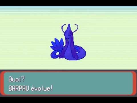 comment augmenter beauté barpau