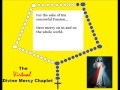 Divine Mercy Chaplet Spoken Virtual