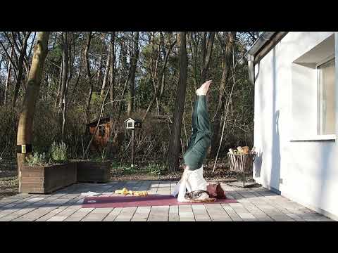 Ahimsa Yoga Magdeburg - Yogastunde 25.03.2020