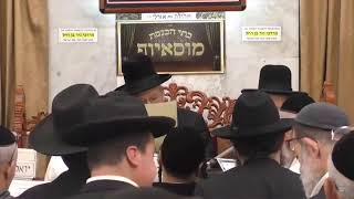 הרב בן ציון מוצפי  •  פרשת אחרי מות ניסן תשפ"ד