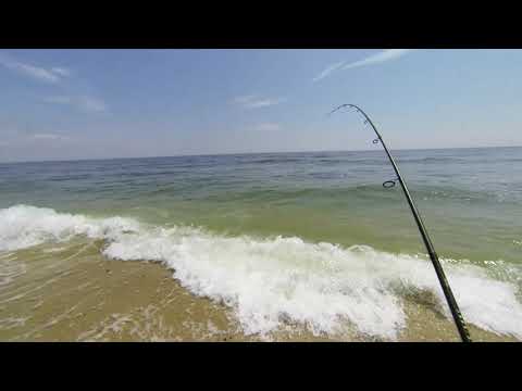 Fluke fishing from shore. No boat required to catch fluke. NBR Ep  4