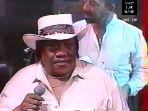 download lagu mp3 mp4 Wayne Bennett Guitar, download lagu Wayne Bennett Guitar gratis, unduh video klip Wayne Bennett Guitar