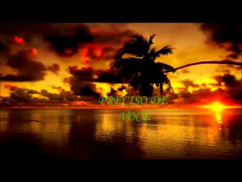 Zeze di camargo e luciano - Preciso de você (letra