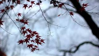 The Fire - Imogen Heap Cover