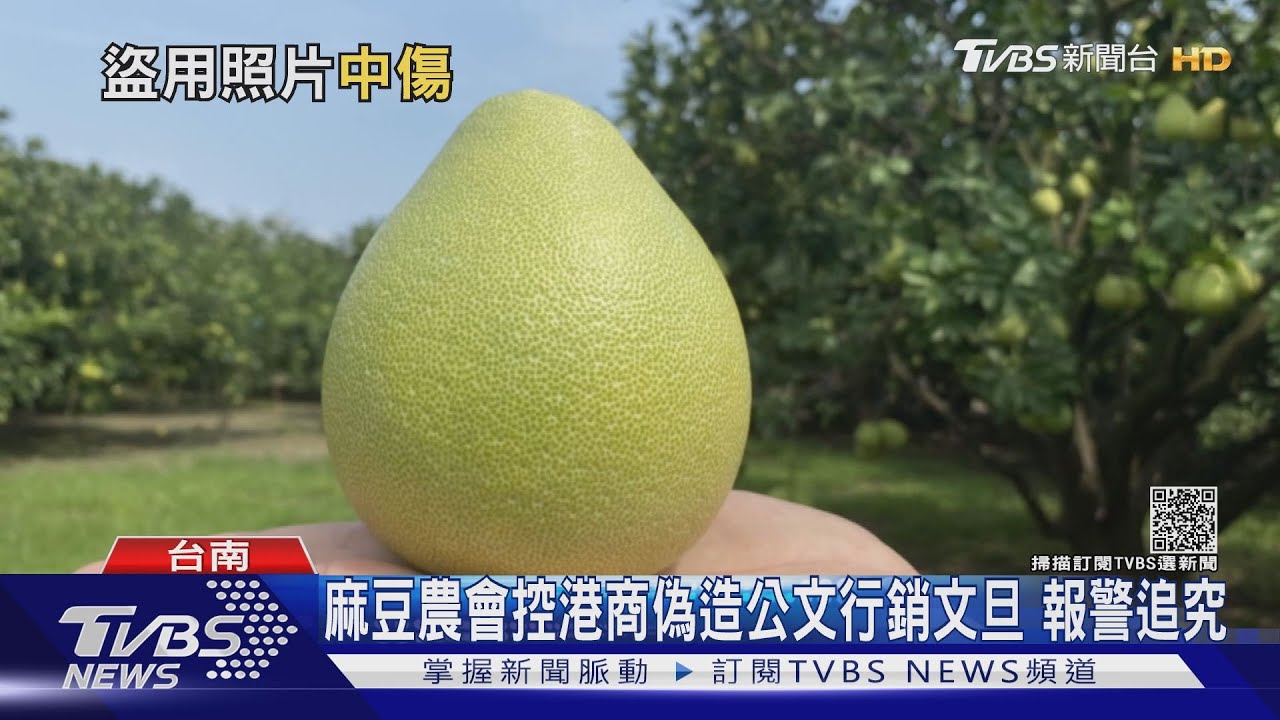 麻豆農會控港商偽造公文行銷文旦　報警追究到底