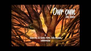 Our Own - Shy Beatz feat. Iulia Macavei & Kioru