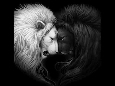 Albertto 🆎️ - Puncte Cardinale N.S.E.V