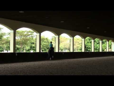 DeNira trot work Feb 2014