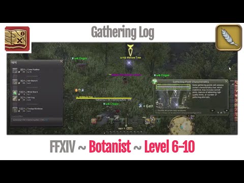 FFXIV Botanist Gathering Log Level 6-10, Preparation for Level 10 Quest - A Realm Reborn