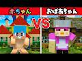 赤ちゃん vs おばあちゃんの最強の家作り対決！【まいくら / マインクラフト】