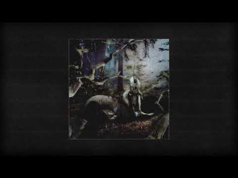 Earl Sweatshirt – OD (Official Audio)