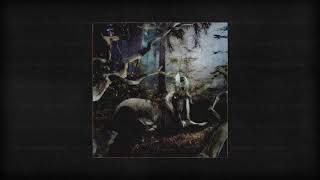 Earl Sweatshirt – OD (Official Audio)