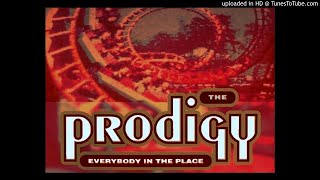 The Prodigy - Everybody in the place [extreme fairground rollercoaster mix]