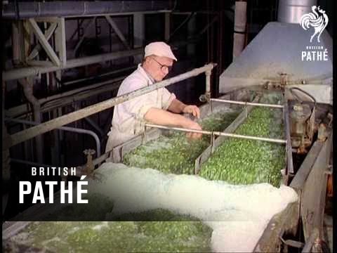 Operation Pea Harvest (1968)