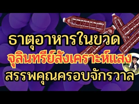 สรรพคุณครอบจักรวาลของจุลินทรีย์สังเคราะห์แสงมีธาตุอาหารอะไรบ้าง?