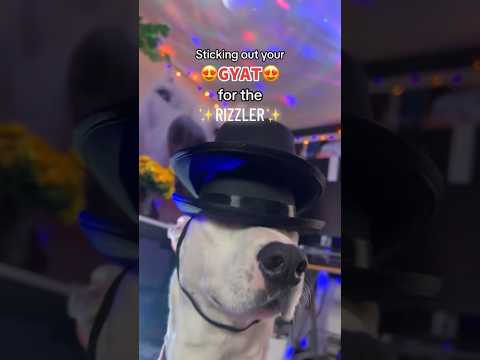 Sticking your ur GYAT 😩 for the RIZZLER 😎 ur so SKIBIDI 🚽so FANUM TAX 🌭 I just wanna be ur SIGMA