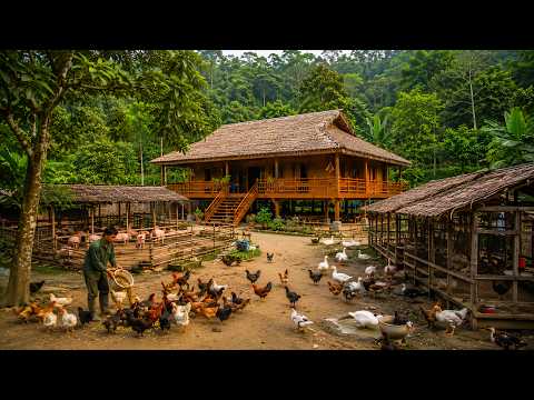 The Man Who Built His Own House in the Forest – A Dream Life./By@life in the forest DK