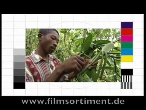 Ernährung: VANILLE - KÖNIGIN DER GEWÜRZE (Vorschau)