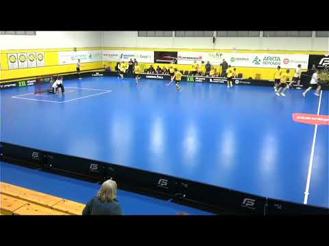 P19 1 DIv: PSS - EräViikingit Akatemia 13.2.2023