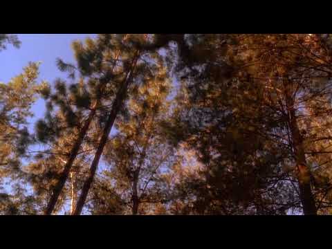 Hot Shots! Deutsch - Jagdsaison