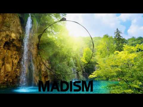 Vicetone - Siren ft. Pia Toscano (Madism remix)