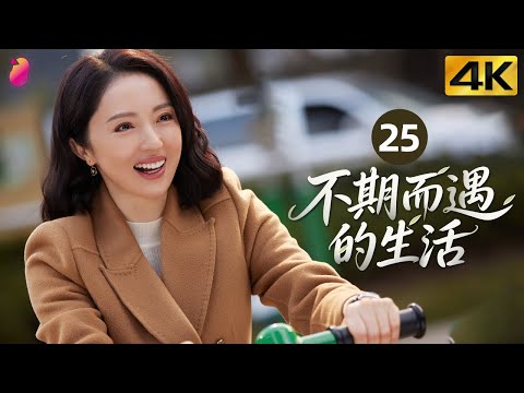 [4K] Ep 25 | Life Optimal Solution | The Story of Two Families Chasing Dreams in the City | Life