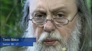 Quando a Gratidão é maior do que a Amargura, você entra em Paz profunda!