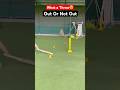 Runout Cricket Runout