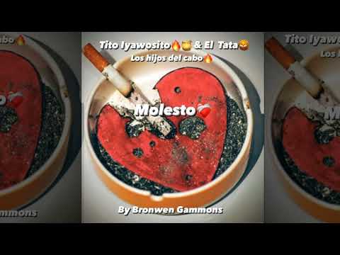 DJ Gomeko x Tito Iyawosito x El Tata - Molesto (Audio Official)